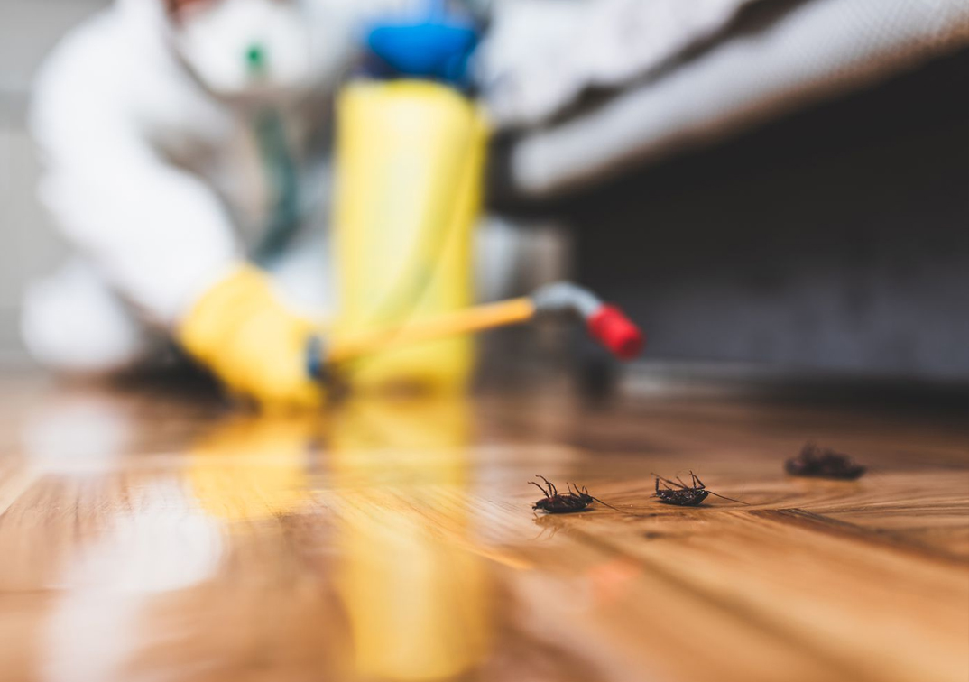 Best Cleaning Services in Chennai